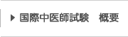 国際中医師試験 概要