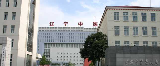 遼寧中医薬大学外観