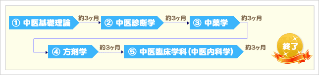 カリキュラムの流れ