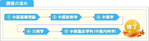 カリキュラムの流れ